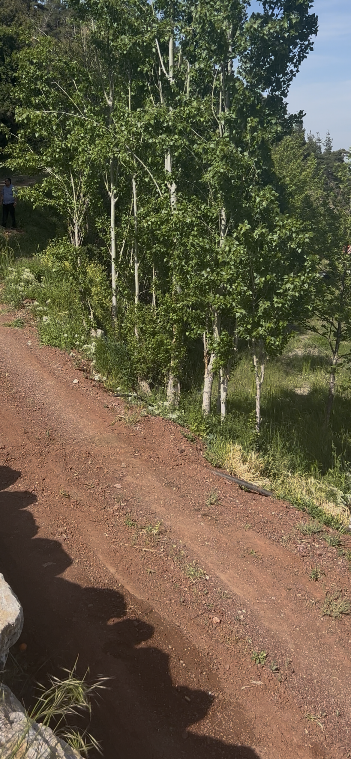 SATILIK DOYRAN da 2200M2ĞÖL MANZARA Lİ Konyaaltı